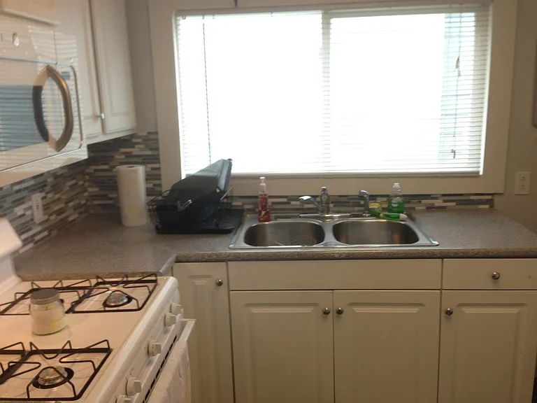 kitchen sink and window