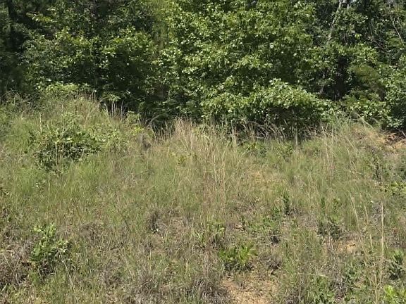 4th image of Lowery Rd