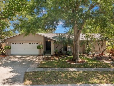 540 Radnor Dr, Palm Harbor, FL, 34683