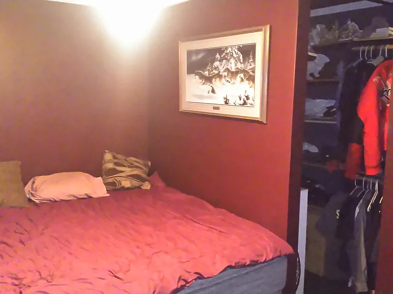 3115 Wildbriar Ln — Photo 8