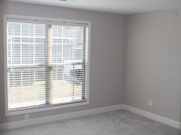 4th image of 1705 Green Parrot Ln