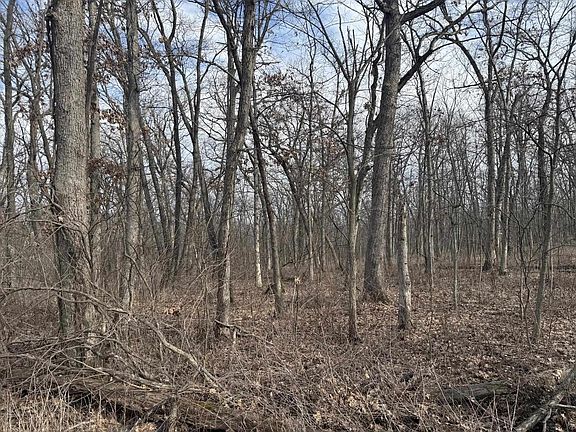 2nd image of 2+/- Acres Biggs Road