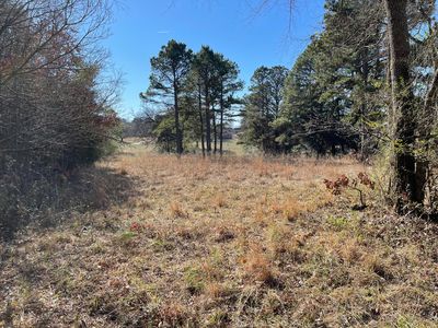 Mountain View Ct, Russellville, AR, 72802