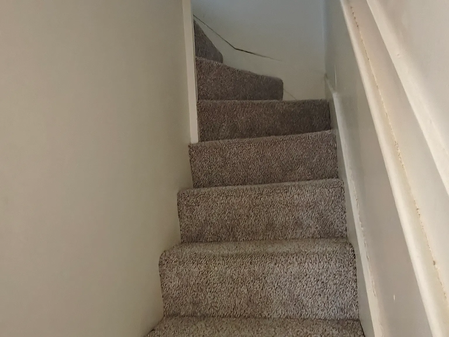 1 bed, $810 — Photo 3
