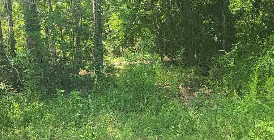 1st image of 4715 Willow Dr