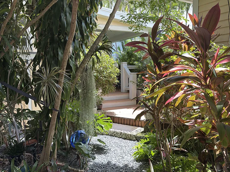 Packer St — Photo 10