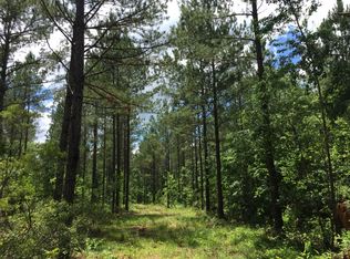 99 Breshears Rd, Lumberton, MS 39455