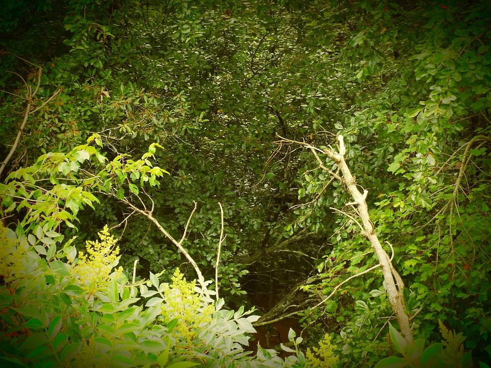 1st image of 811 Spear Head Cir