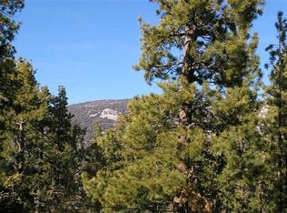 104 W Aeroplane Ln, Big Bear City, CA 92314