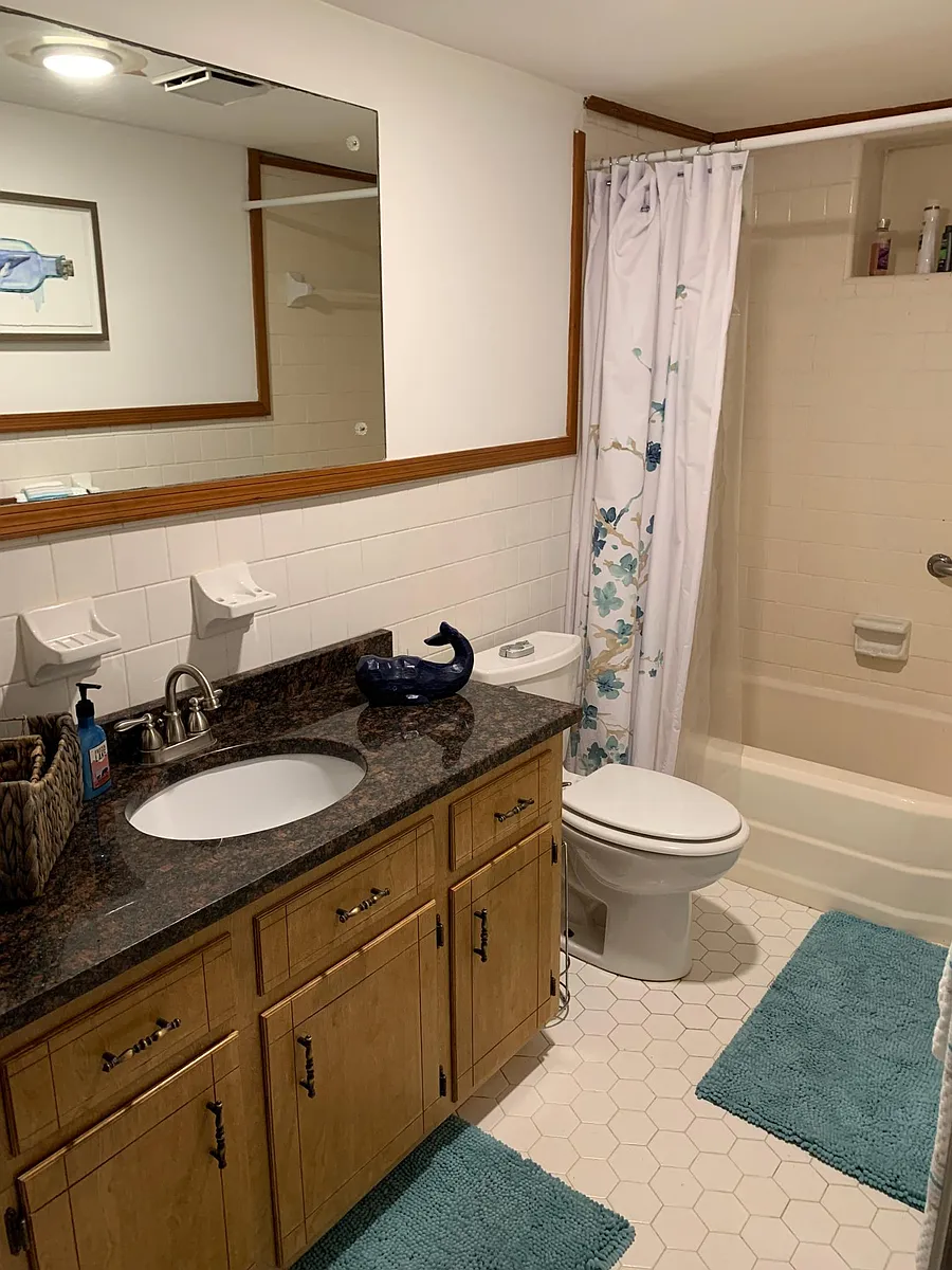 Bathroom - 1650 S Milledge Ave #2