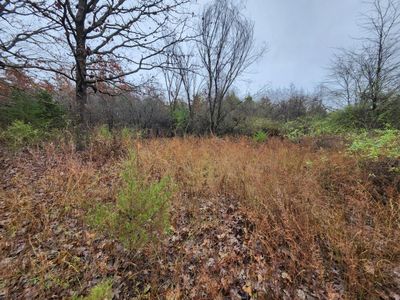 000 Tbd Emery Road, Bucyrus, MO, 65444