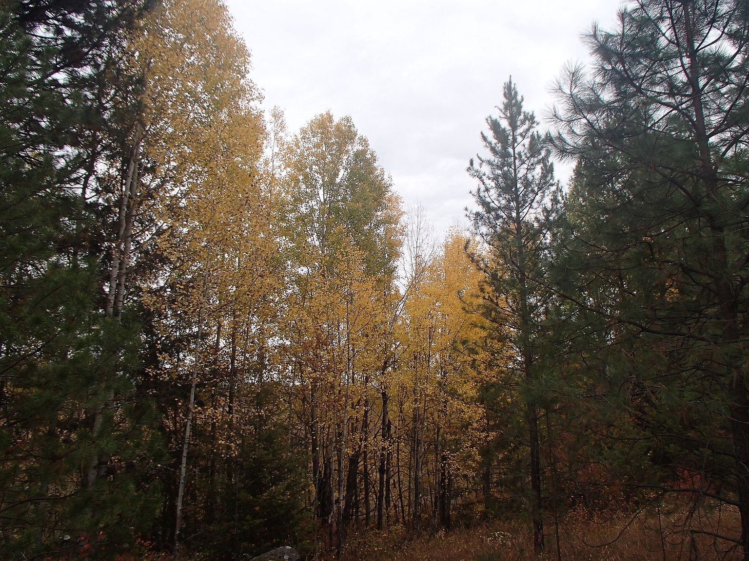 Nna Blanchard Elk Rd, Blanchard, ID 83804 Zillow