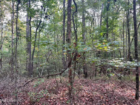 Poplar Springs Rd, Florence, MS 39073