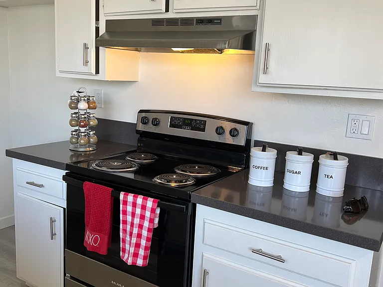 Stainless still electric stove