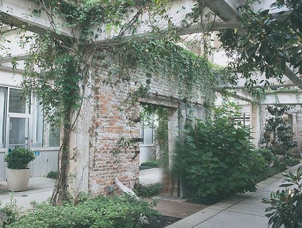 SPX Courtyard