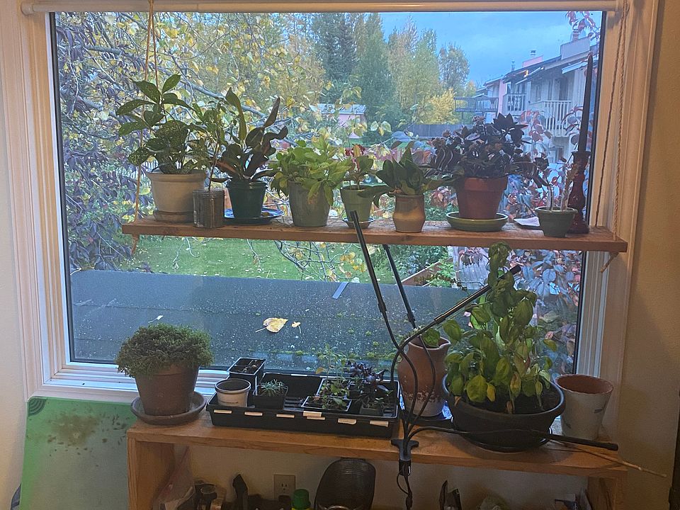 Lots of plants in the home. Would you rather live in a sterile furnished rental?
