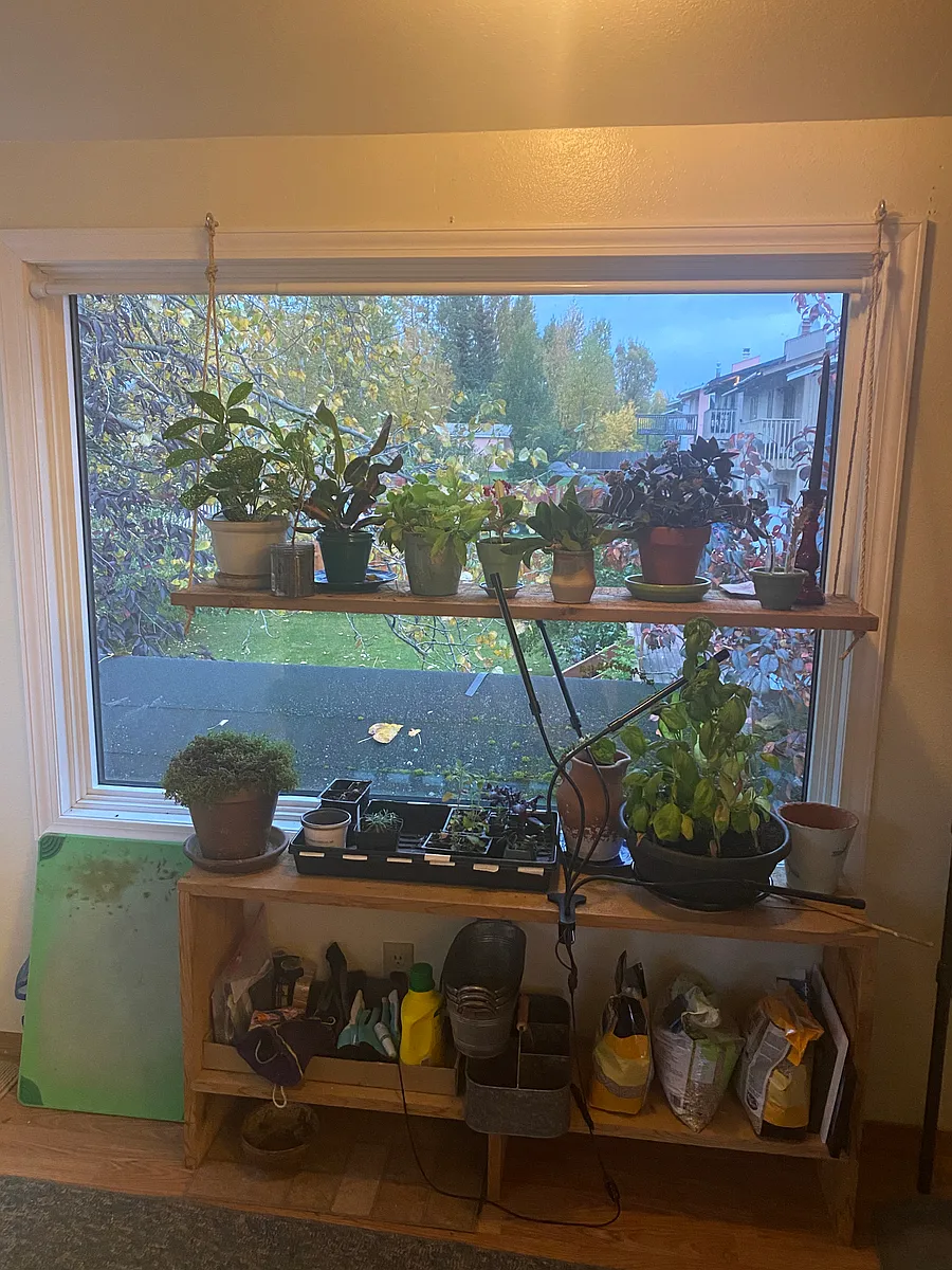 Lots of plants in the home. Would you rather live in a sterile furnished rental? - 8040 Little Dipper Ave #A