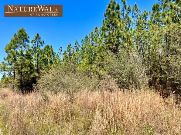 LOT 34 Pine Preserve Ln, Milton, FL 32571