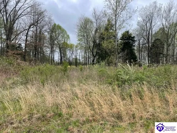 31 Whistling Oaks Blvd #A, Glendale, KY 42740