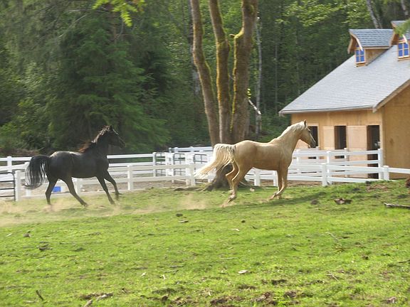 Pasture and Barn