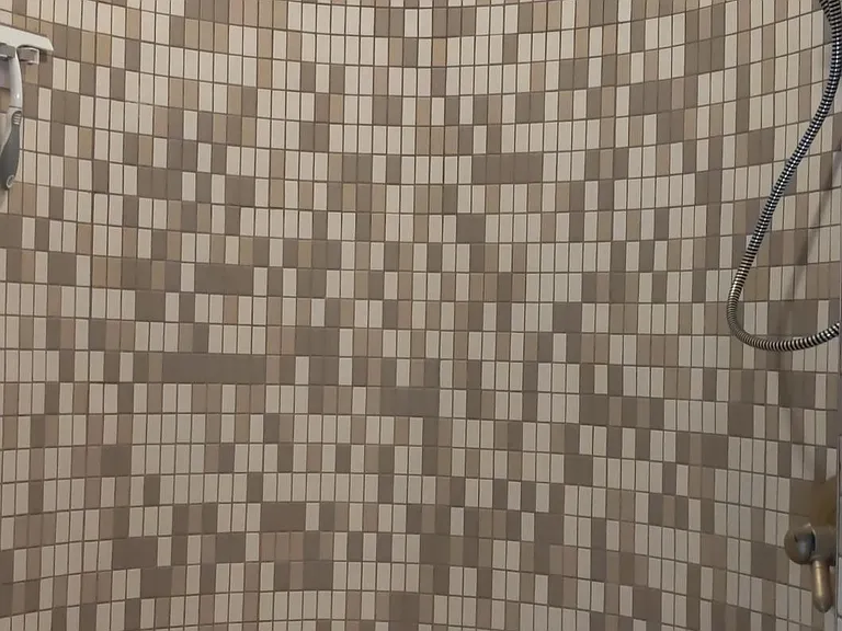 Circular shower in master bath