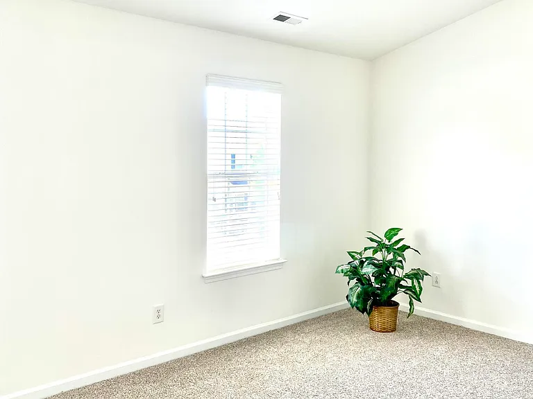 3525 Londonville Ln — Photo 19