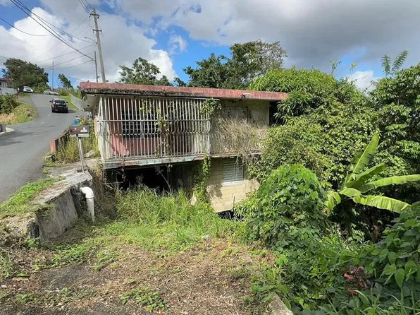 PR. 813 Km 2.1 BO. NUEVO, NARANJITO, PR 00719