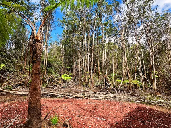 18-2319 Kakahiaka Uhane St, Volcano, HI 96785