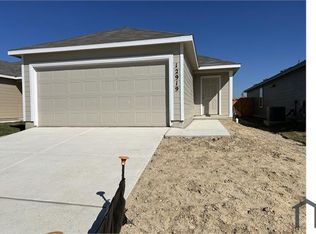 12919 Lake Fryer, Saint Hedwig, TX 78152