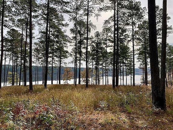 View from middle lot