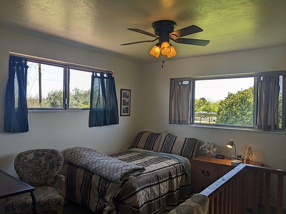 Giant Picture Windows for You! Lots of Natural Light!