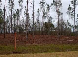 0 NE Liberty Rd, Pansey, AL 36370