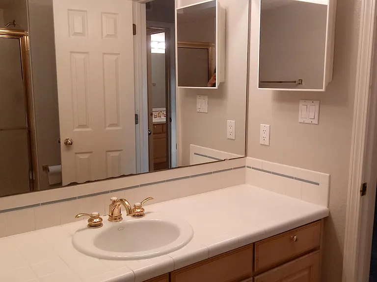 Master bathroom