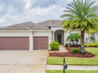 9671 Orange Jasmine Way, Tampa, FL, 33647