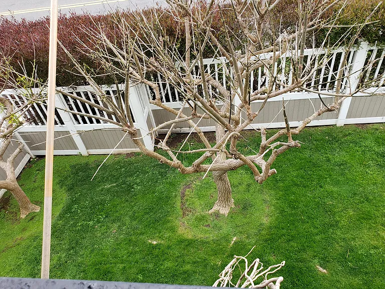 1641 Sunset Cliffs Blvd #3 — Photo 5