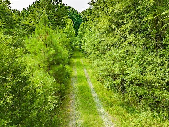 4th image of 251 Tick Creek Preserve Ln #G