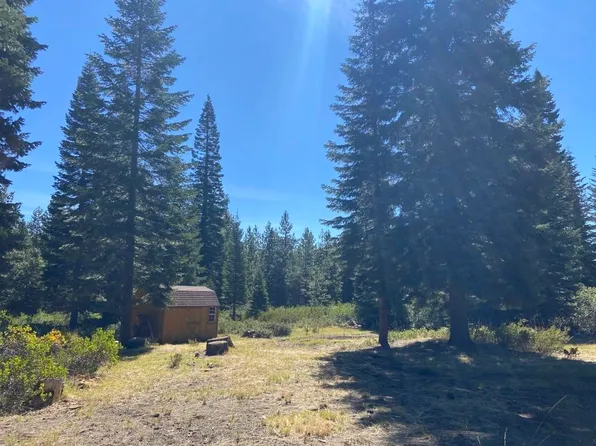 4-C-5 Summit View Dr, McCloud, CA 96057