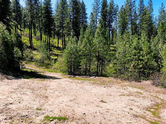 2nd image of 19 Red Bluff Rd