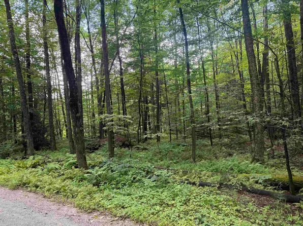 Anderson Road, Grafton, VT 05146