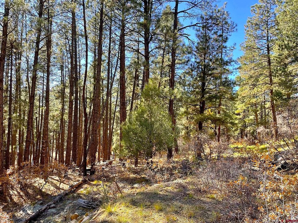 1st image of 179 Fawn Dr
