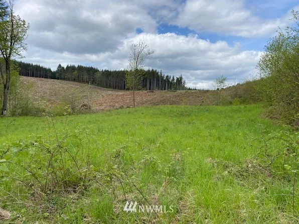 0 Buckhorn Road, Winlock, WA 98596
