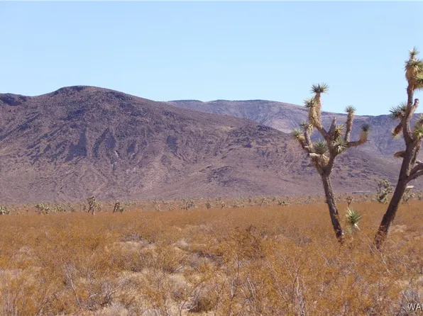 317-36-073 Rocky Point Ave, Willow Beach, AZ 86445