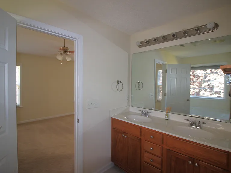 Master bathroom vanity