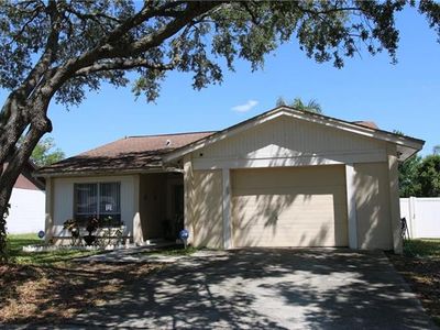1603 Palm Leaf Dr, Brandon, FL, 33510