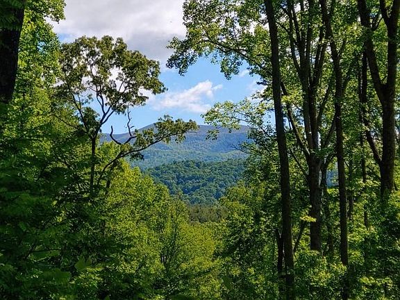 3rd image of 11 Hickory Top Ln