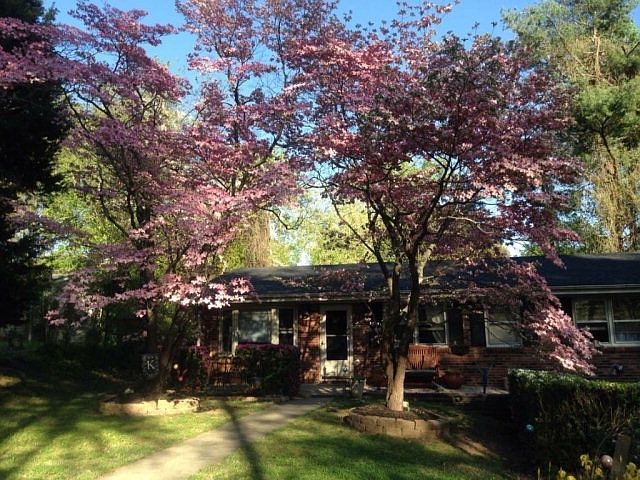 1st image of 344 Hermitage Dr