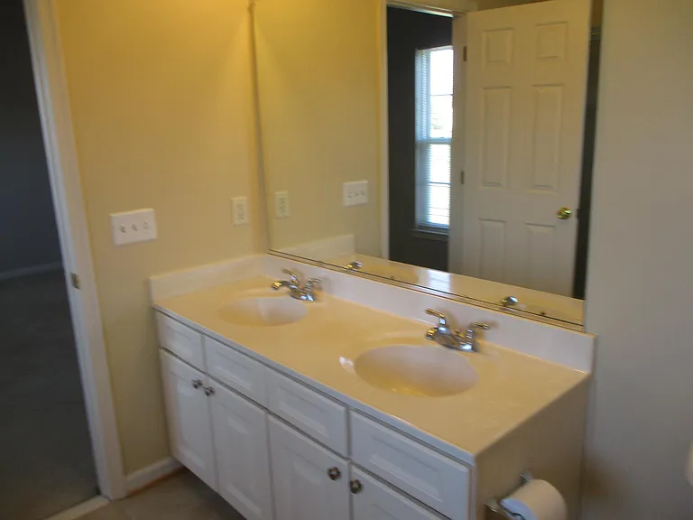 Double vanity in owner's bathroom