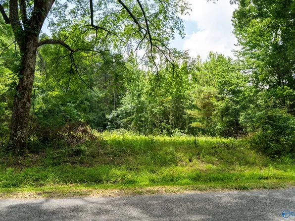 Mount Carmel Dr, Guntersville, AL 35976