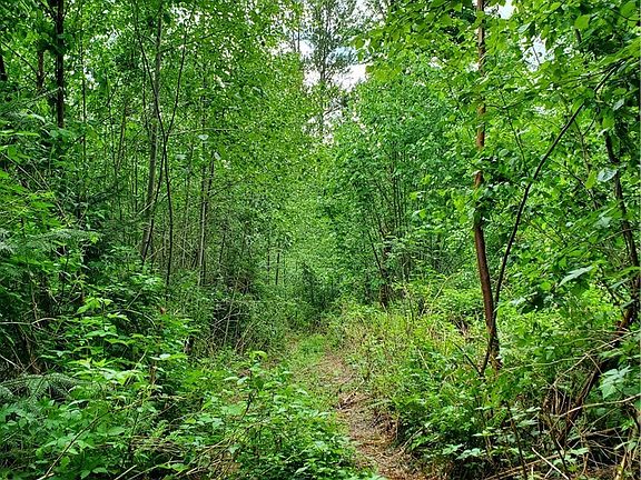 2nd image of 0 W Elk Run Dr