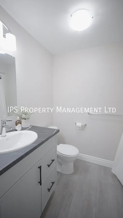 Newly Built - 1 Bed |1 Bath Sharing Room In Basement — Photo 4